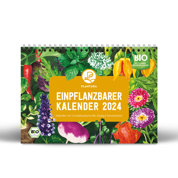 Einpflanzbarer Kalender 2024 von Plantura