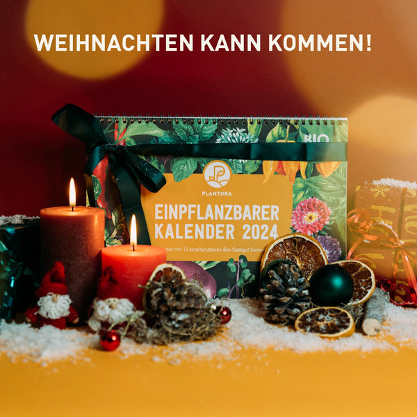 Einpflanzbarer Kalender als Weihnachtsgeschenk