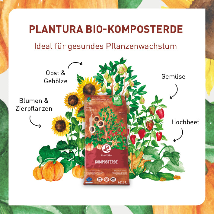 Hochbeeterde für vitale Pflanzen