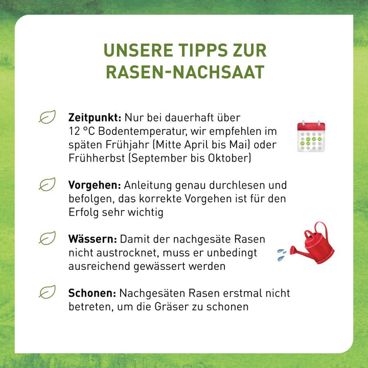 Anwendung Plantura Rasen-Nachsaat