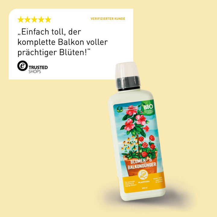 Bewertung Flüssig-Blumendünger