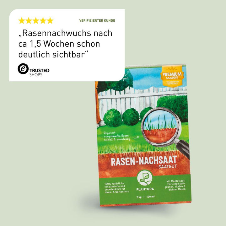 Rasen-Nachsaat Bewertung
