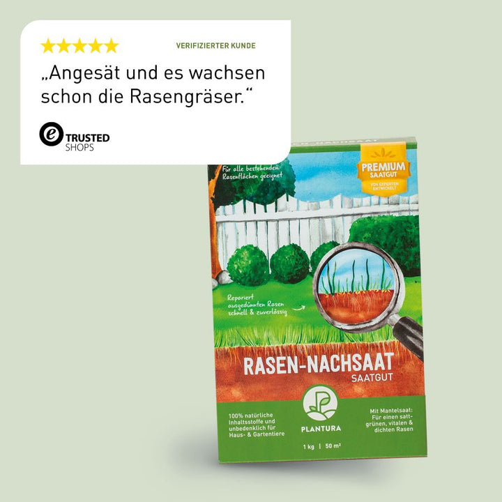 Bewertung der Rasen-Nachsaat