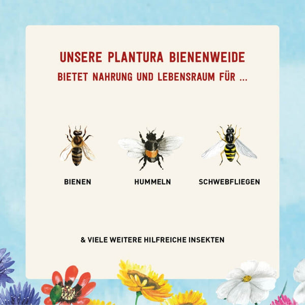 Blumensamen-Mischung für Bienen Hummeln und Schwebfliegen