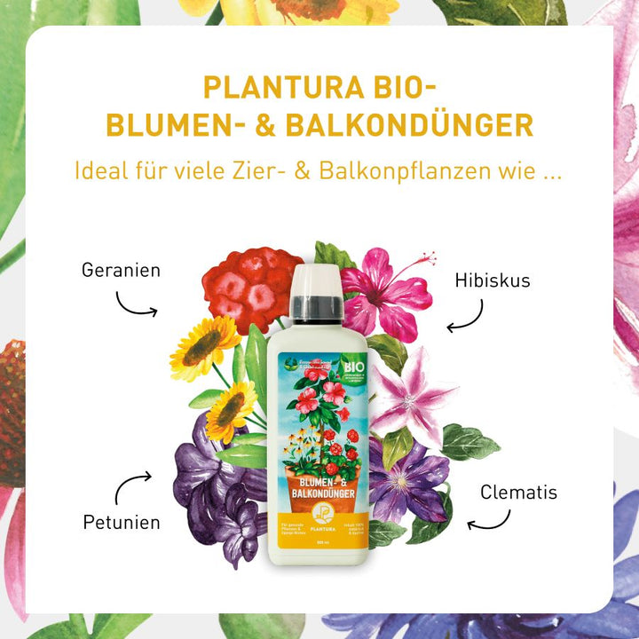 Bio-Flüssigdünger für Blumen von Plantura