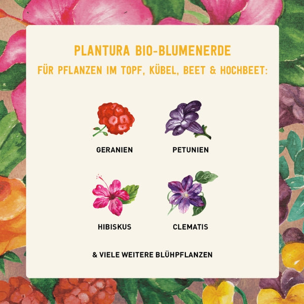 Torffreie Plantura Bio-Blumenerde für Blühpflanzen
