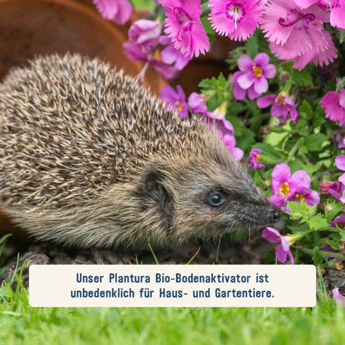 Bio-Bodenaktivator von Plantura für Haus- und Gartentiere unbedenklich
