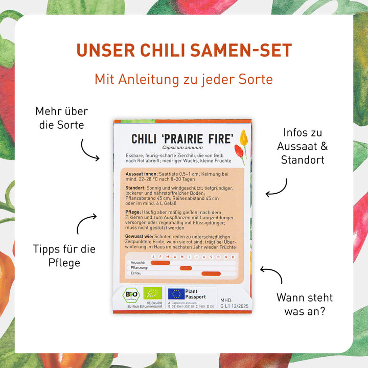 Anleitung des Chili-Saatgut-Sets