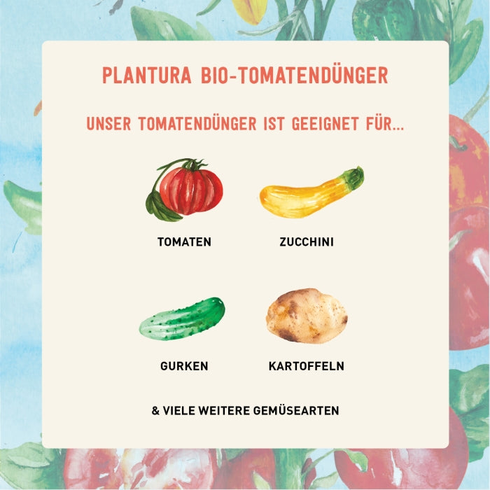 Bio-Tomatendünger Anwendungsmöglichkeiten