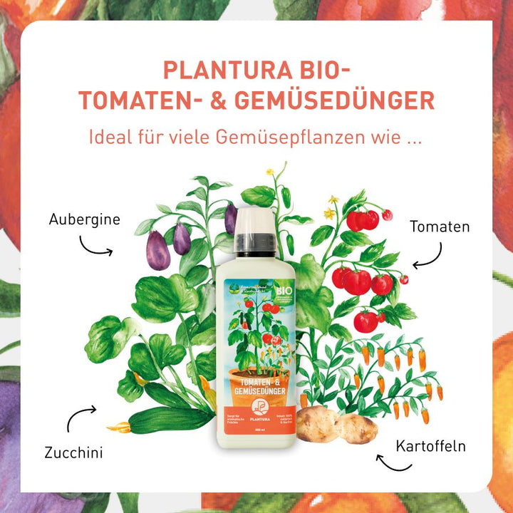 Bio-Flüssigdünger für Gemüse