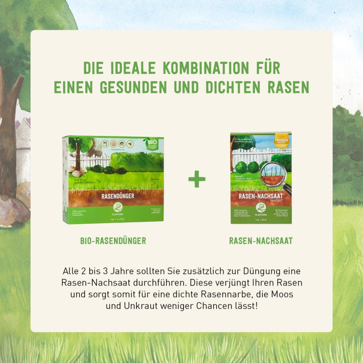Plantura Bio-Rasendünger und Nachsaat für den Rasen