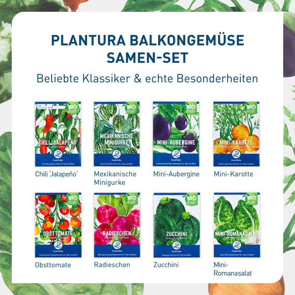 Bio-Sorten im Balkongemüse-Set