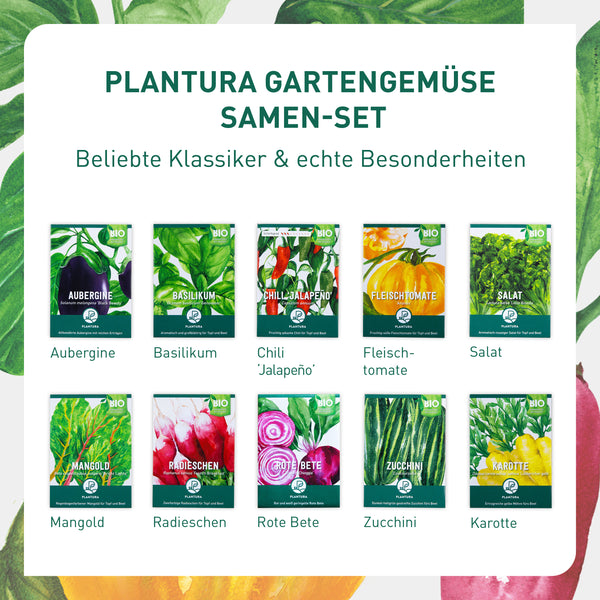 Bio-Sorten im Gartengemüse-Set