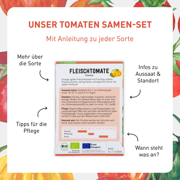 Anleitung des Tomatensamen-Sets
