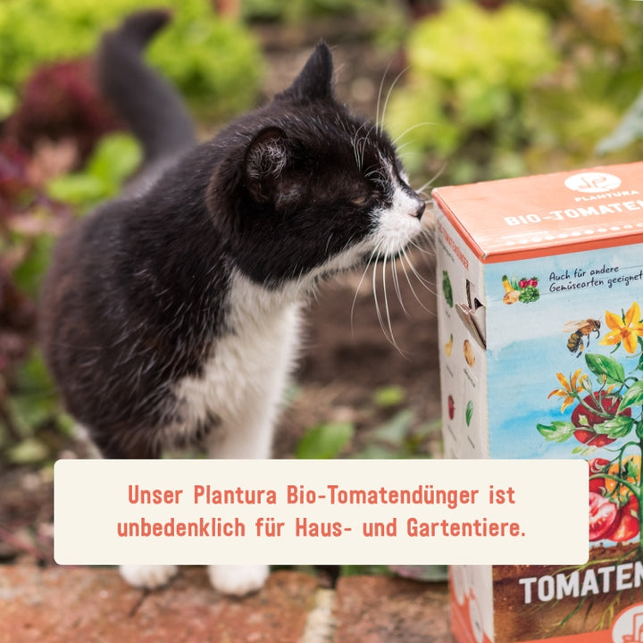 Bio-Tomatendünger unbedenklich für Haus- und Gartentiere