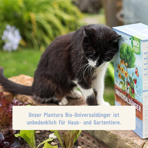 Bio-Universaldünger unbedenklich für Haus- und Gartentiere