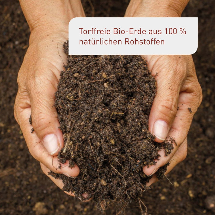 Bio-Hochbeeterde mit pflanzlichen Inhaltsstoffen