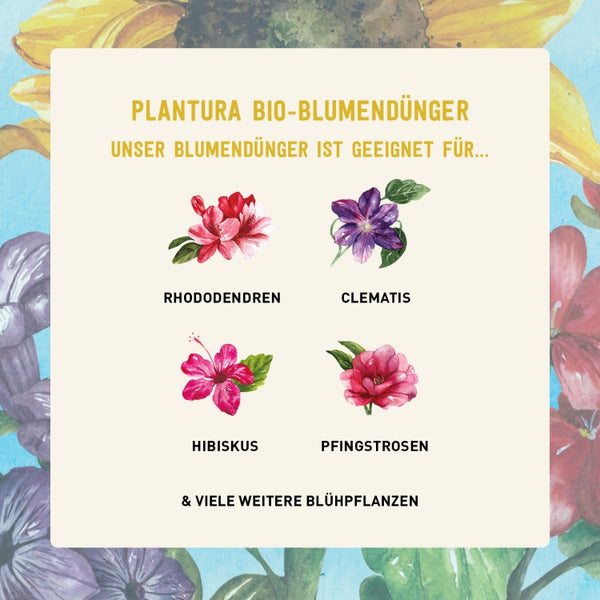 Bio-Dünger für Blumen