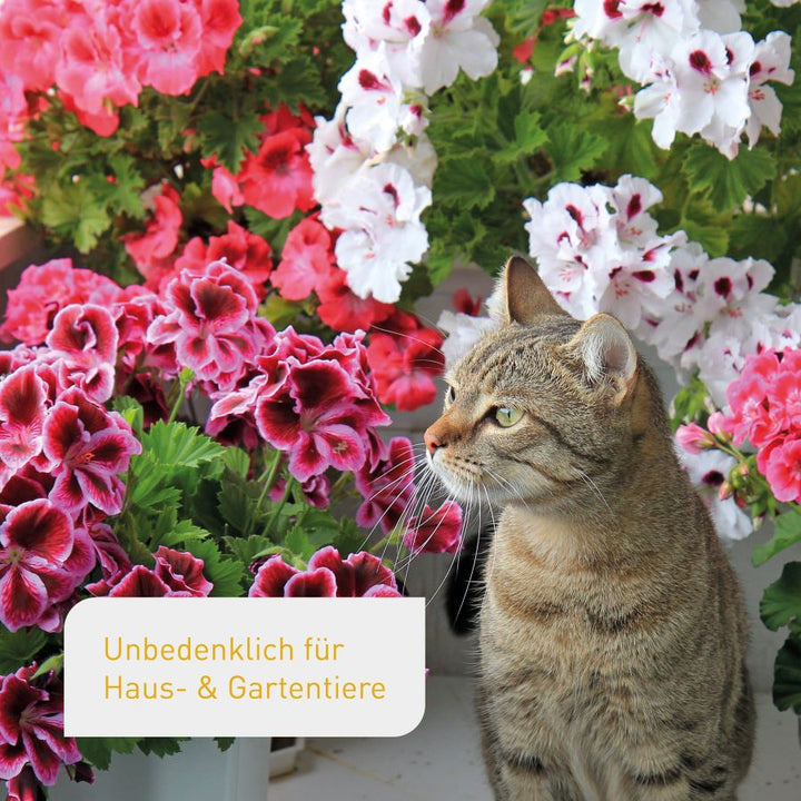 Guter Blumendünger unbedenklich für Haustiere