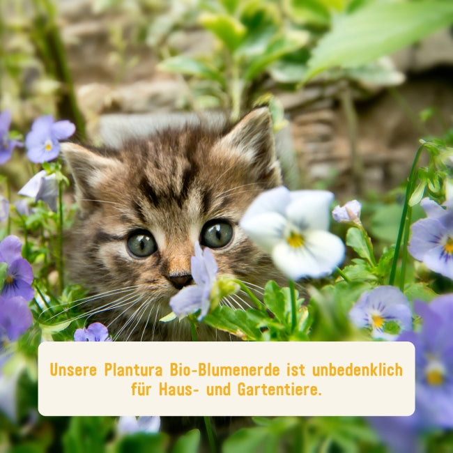 Blumenerde von Plantura unbedenklich für Haustiere