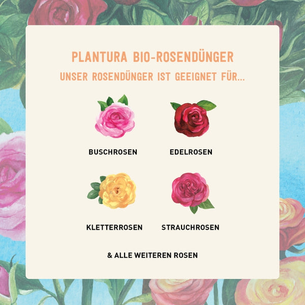Plantura Bio-Dünger für Rosen