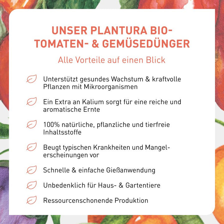 Vorteile Bio-Gemüsedünger