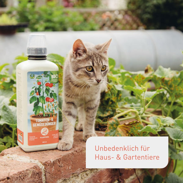 Bio-Flüssigtomatendünger unbedenklich für Haustiere