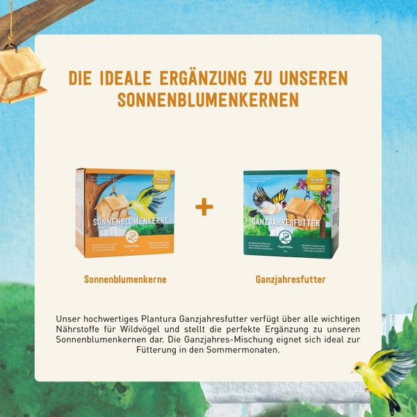 Sonnenblumenkerne und Ganzjahresvogelfutter kaufen