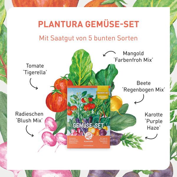 Gemüse-Anzuchtset mit verschiedenen Sorten