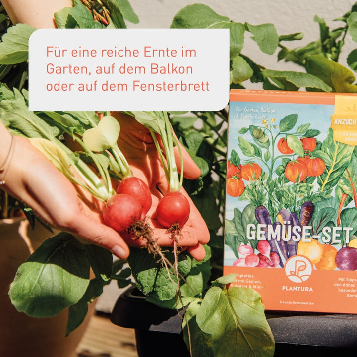 Gemüse-Set für eine reiche Ernte