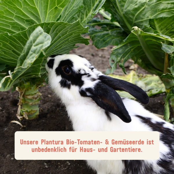Plantura Gemüseerde unbedenklich für Haustiere