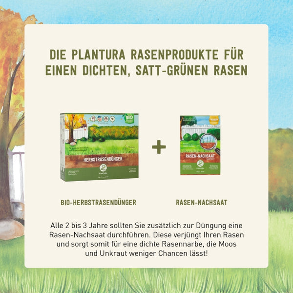 Bio-Herbstrasendünger und Rasen-Nachsaat