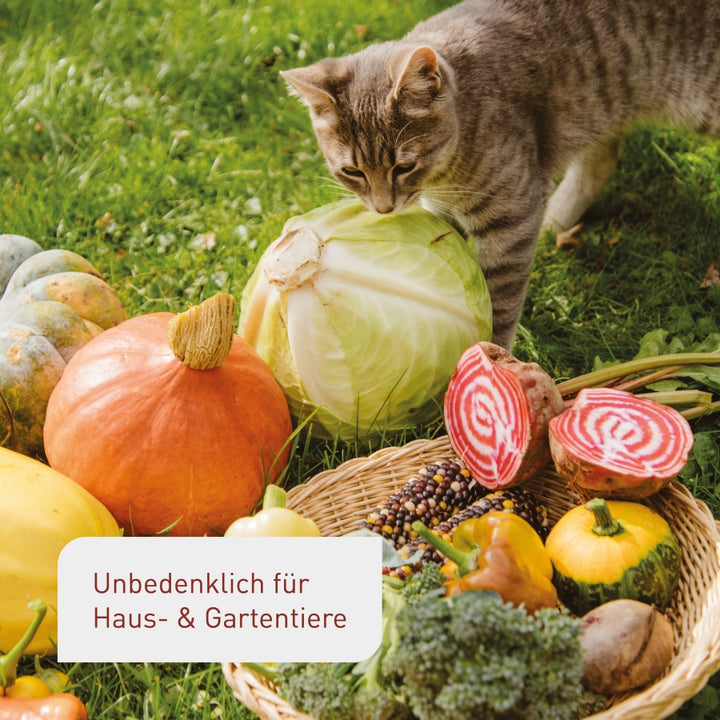 Plantura Bio-Hochbeeterde unbedenklich für Haustiere
