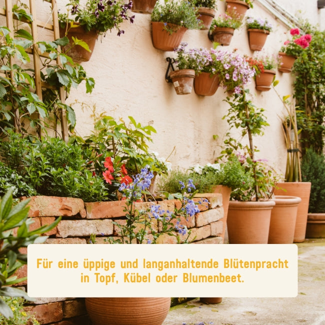 Blumenerde für reiche Blüten