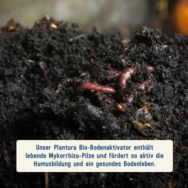 Plantura Bio-Bodenaktivator mit Mykorrhiza-Pilzen