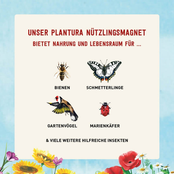 Insekten mit Blumen-Mischung unterstützen