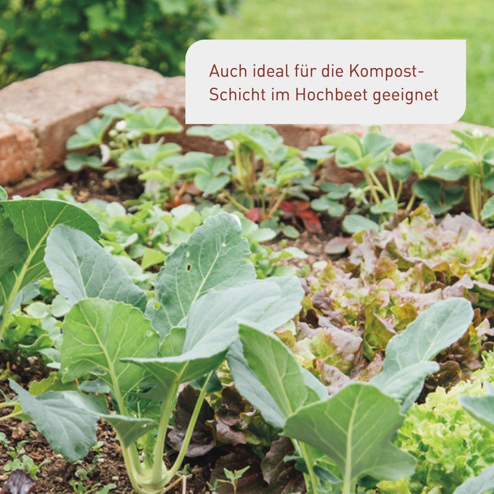 Bio-Komposterde für das Hochbeet