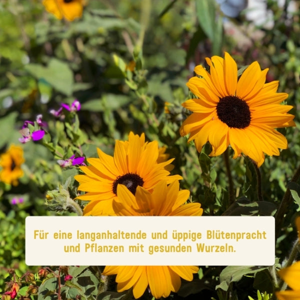 Plantura Blumendünger mit Langzeitwirkung