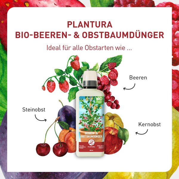 Flüssigdünger für Obst und Beeren