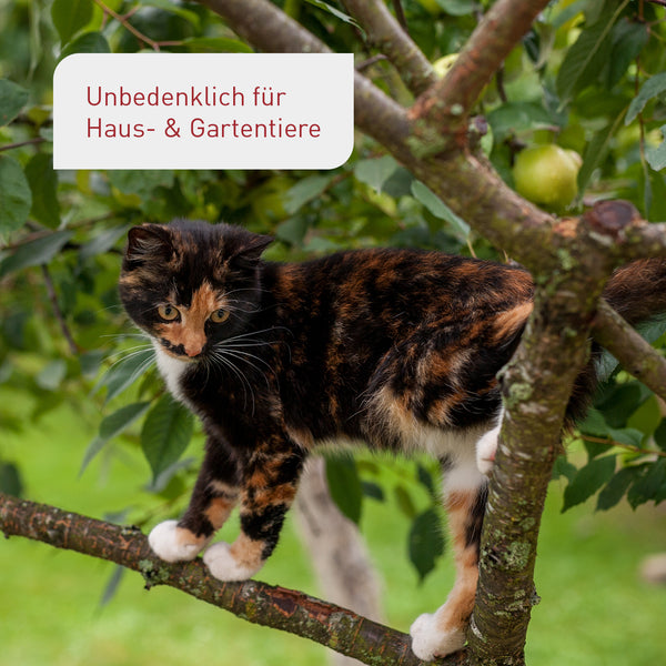 Obstbaumdünger unbedenklich für Tiere