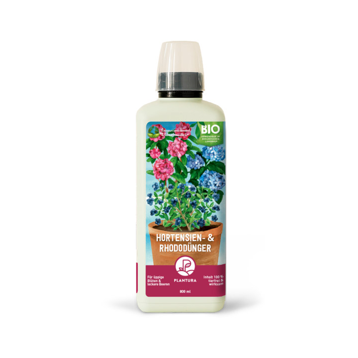 Bio-Hortensien- & Rhododendrondünger / 800 ml