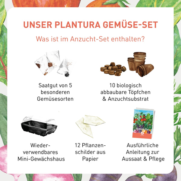Inhalt des Plantura Gemüse-Sets