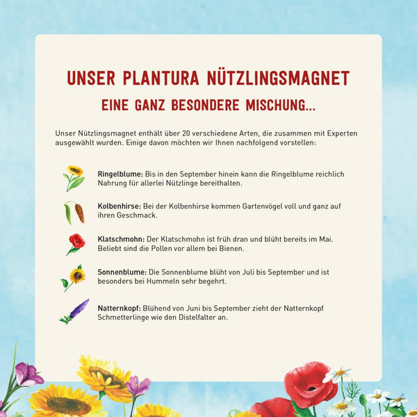 Plantura Blumenmischung für Nützlinge