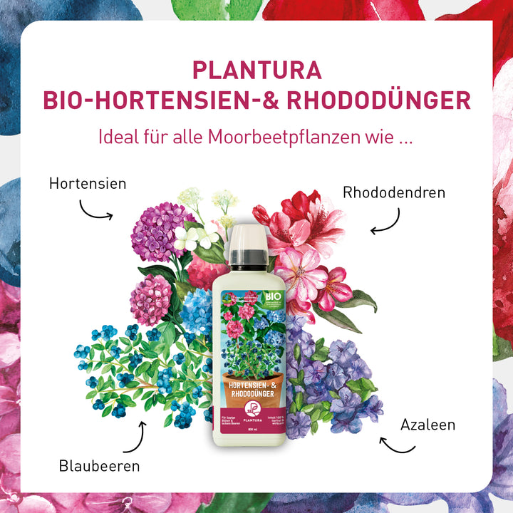 Bio-Hortensien- & Rhododendrondünger / 800 ml