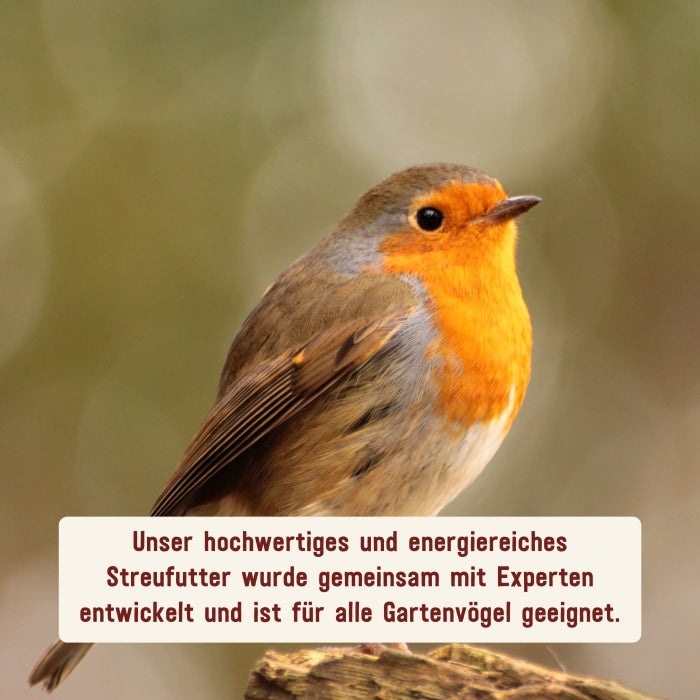 Vogel-Fettfutter in Premium-Qualität