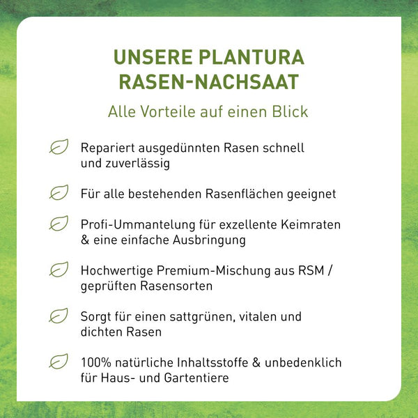 Vorteile der Plantura Rasen-Nachsaat