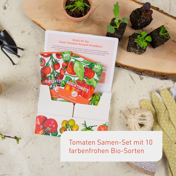 Aussaat von Tomaten im Set