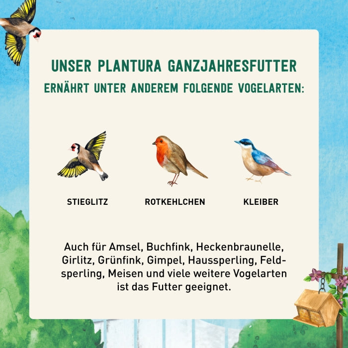 Sommerfutter für freilebende Vögel