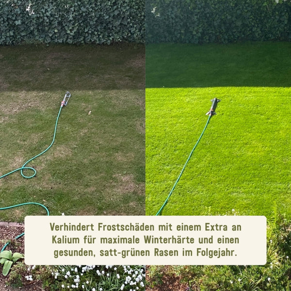 Vorher nachher Bio-Herbstrasendünger