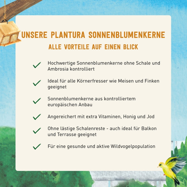 Vorteile von geschälten Sonnenblumenkernen als Vogelfutter